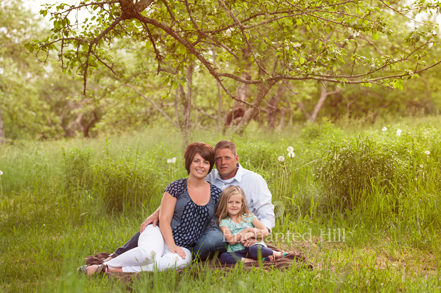 a beautiful family posing in a field in blue and white clothes