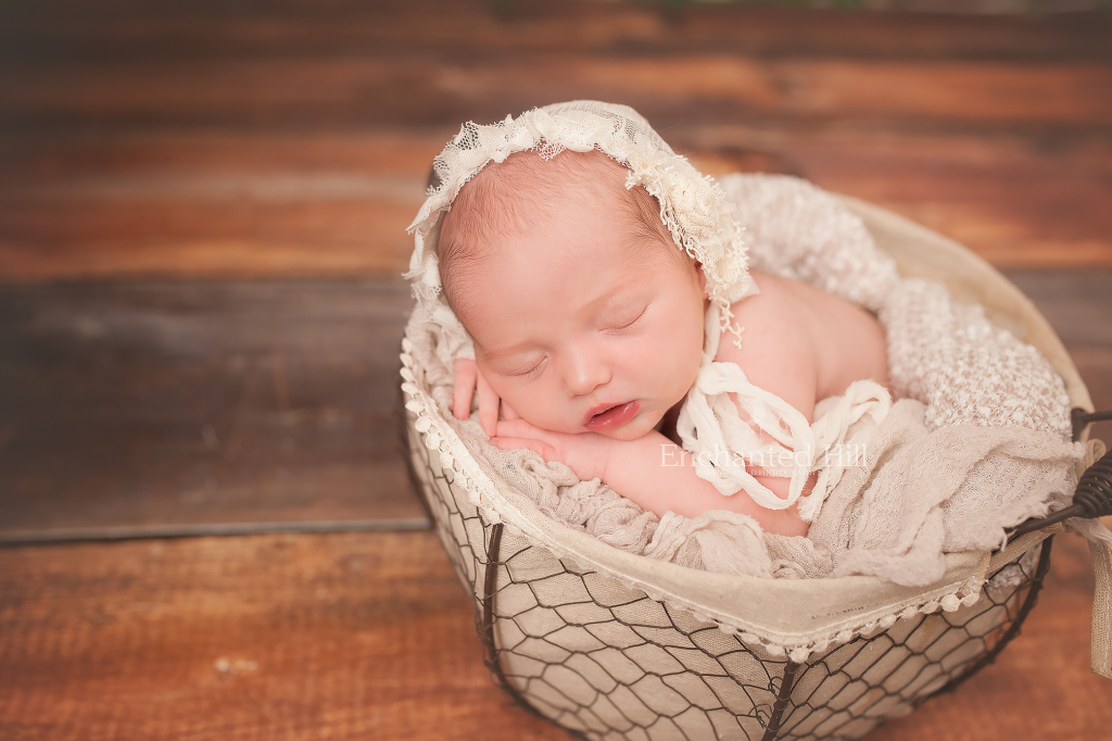 Saint John photography of a new baby girl in egg basket