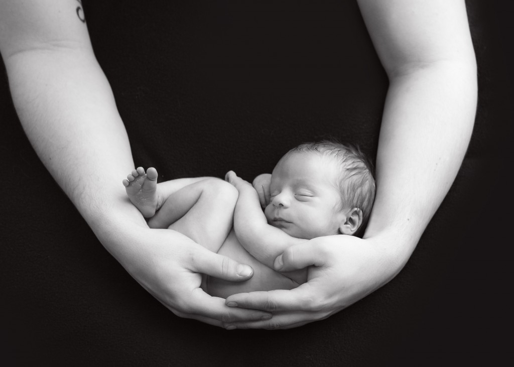 Saint John Photographer black and white baby held by parents hands