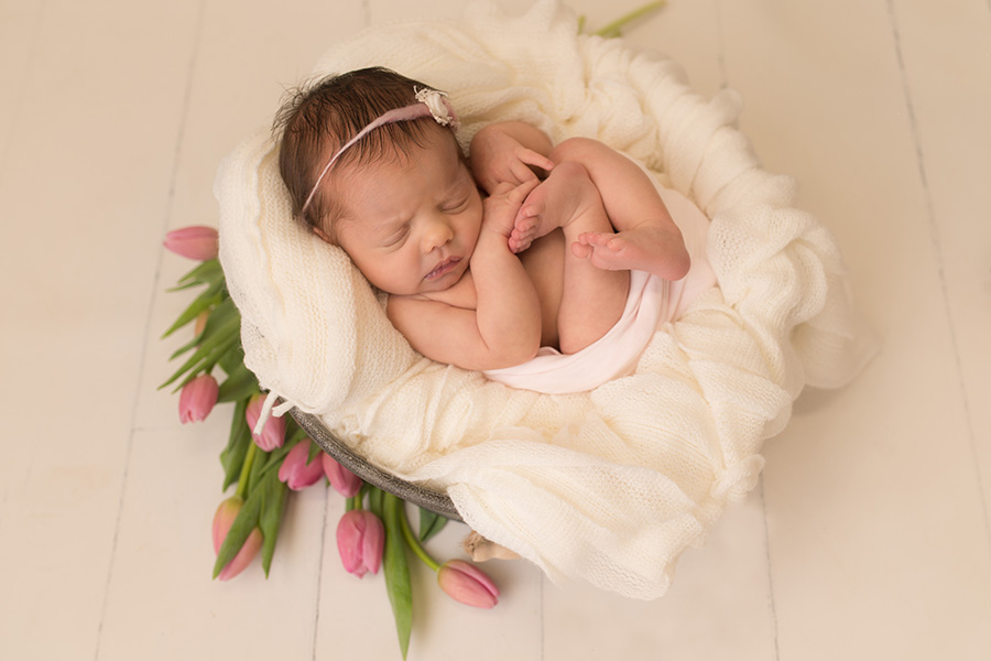 Saint John Photographer - sleeping baby with fresh pinks tulip flowers