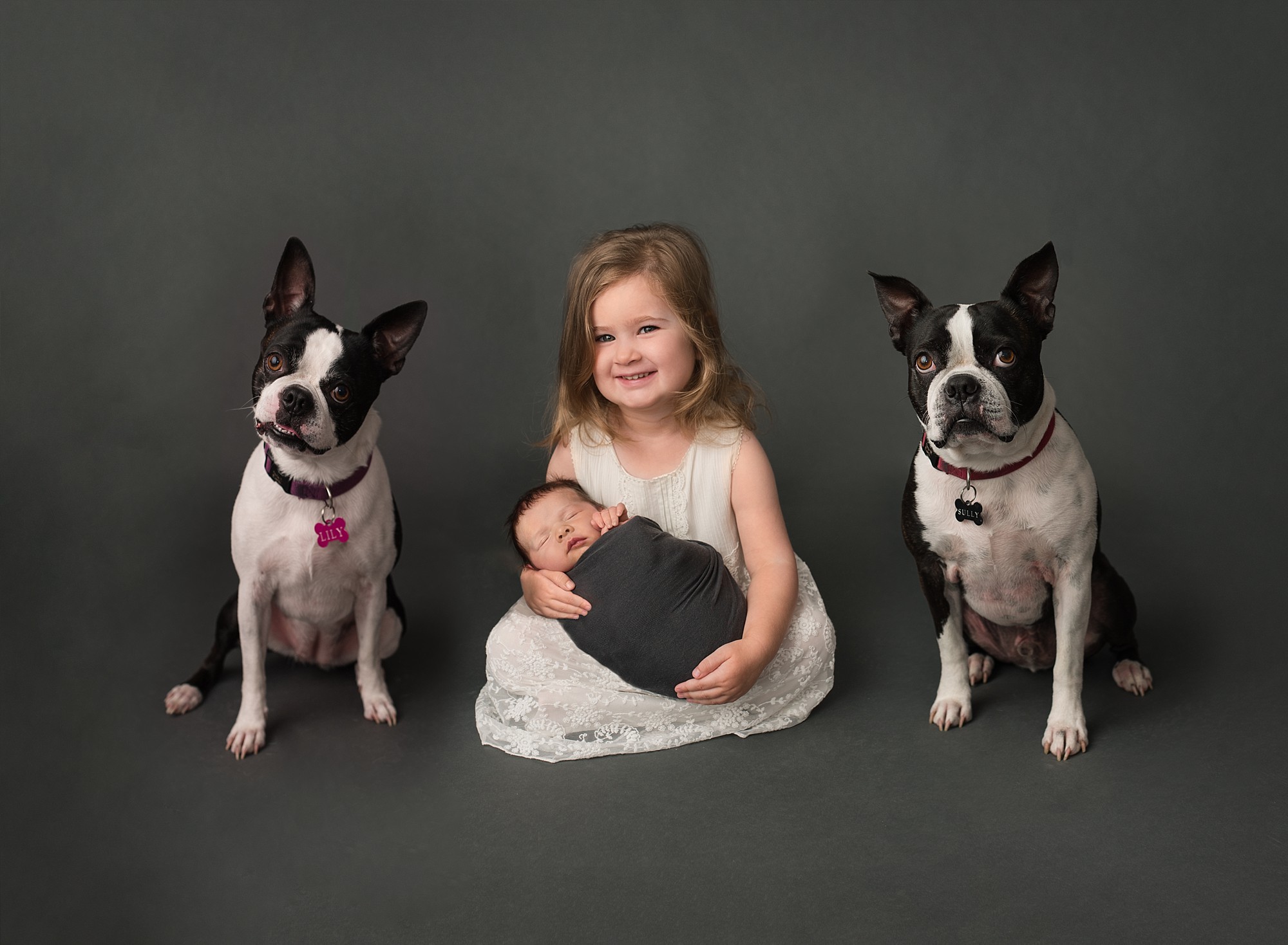 puppies and a new baby with his big sister