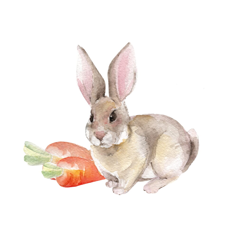 water-colour rabbit painting to represent the easter mini. session being held at the Saint John studio 